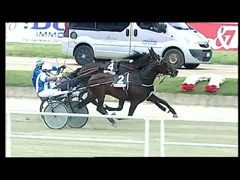 Napoli Trotto 06/05/2022 - 2ª corsa