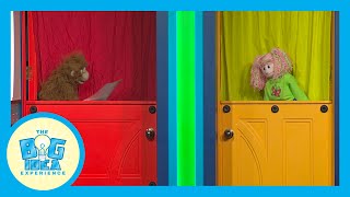 Big Idea Experience: Friendship