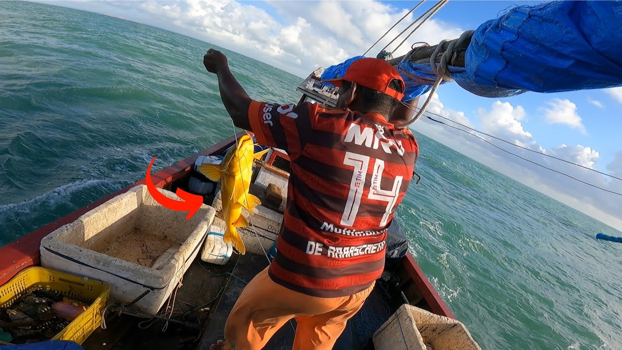 Sobrevivência Extrema em Alto Mar: Muito Peixes, Espinhel Quebrado e Luta pela Vida!