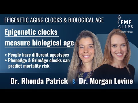 Measuring biological age with epigenetic aging clocks | Dr. Morgan Levine