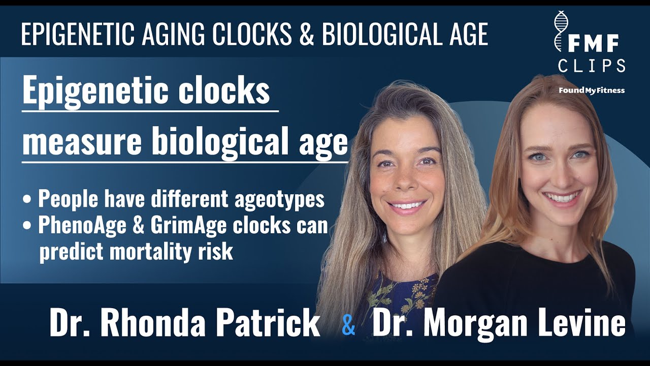 Measuring biological age with epigenetic aging clocks | Dr. Morgan Levine
