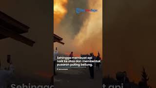 Viral Penampakan Tornado Api di Tengah Sabana Bromo gegara Flare Prewedding