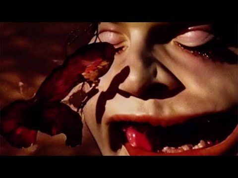 Redrum Butterfly - Official Music Video