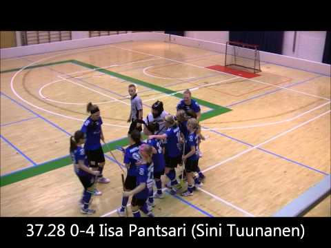 TuuU-LeBa-96 Maalikooste