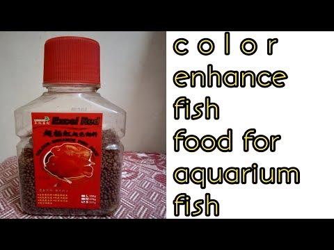 download lagu mp3 mp4 Excel Red Fish Food, download lagu Excel Red Fish Food gratis, unduh video klip Excel Red Fish Food