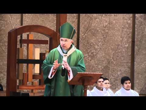 Homily: Sixteenth Sunday in Ordinary Time  (07/17/2011)