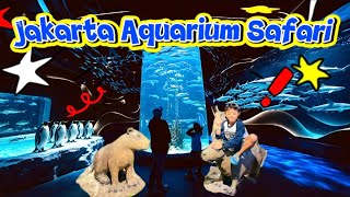 Download lagu Jakarta Aquarium Safari - FULL EXPLORE 🐧🦈 |penguin show, feedings shark #jakartaaquariumsafari #new mp3 Download lagu Jakarta Aquarium Safari - FULL EXPLORE 🐧🦈 |penguin show, feedings shark #jakartaaquariumsafari #new mp3