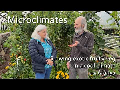 Exotic Plants in Permaculture: Aranya & Maddy Harland