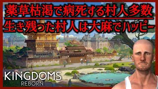 【ピンチ】薬草枯渇で病死する村人多数【#03 Kingdoms Reborn｜キングダムリボーン】