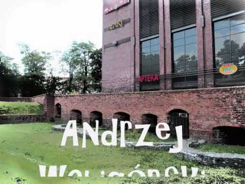 Zabytek- Andrzej Waligórski & harmonijka