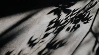 OWEL "Steal the Moon"