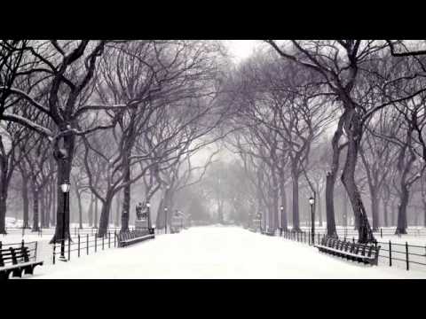 Disappearance-Moonbeam ft Avis Vox