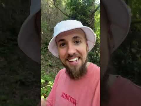 Píramo y Tisbe, Shakespeare se copió de este mito griego - Mitología Griega