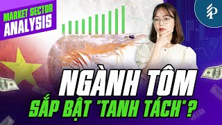 Tôm Việt Nam sẽ bứt phá trong nửa cuối năm 2024? Nên đầu tư cổ phiếu nào?