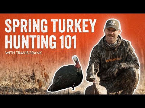 Spring Turkey Hunting 101: Tips, Tricks, and Tactics for Success