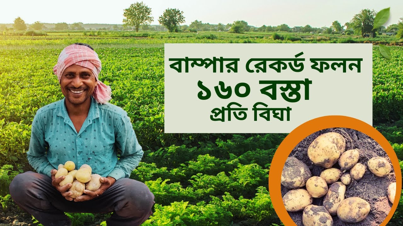 Sustainable Farming Practices at Yaduka Agrotech