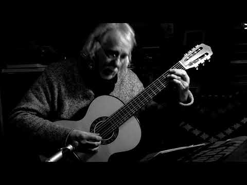 Sychra Journals #13 and #26 - 7-string Russian Guitar - Rob MacKillop