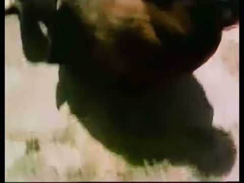 Isaura the slave girl - trailer in English (fan-made)