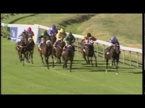 Depardieu - Cape Classic (Gr III)