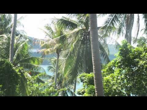 Jensson - Magic Island - Version In The Jungle Mix {progressive psytrance}