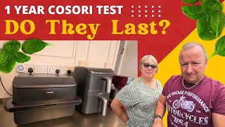 1 Year Later: Cosori TwinFry in a Real Café Kitchen! + New Tower Pro Air Fryer Test 🔥