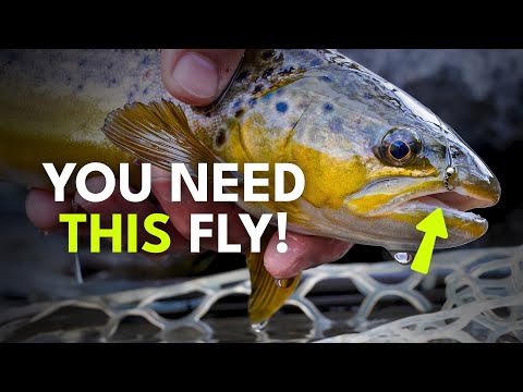 The 7 Midge Patterns You Need This Winter | Ep. 162