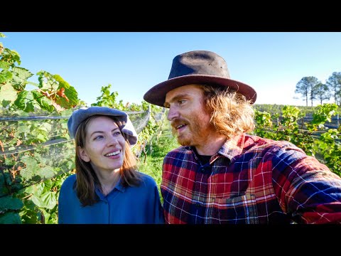 GRAPE HARVEST & Traditional Argentine BBQ with Local Winemakers in Villa Yacanto, Argentina! ๐๐ท