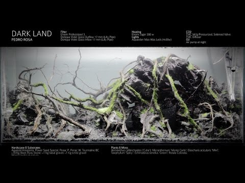 Watch Video on YouTube