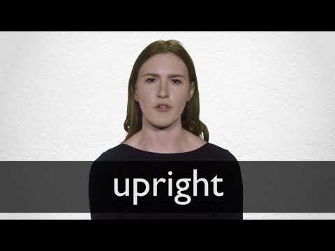 UPRIGHT definition in American English