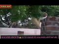 Jindgi Se Hum Jit Lenge Jang