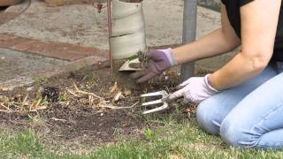How to Clean Out a Weedy Flower Garden : Garden Space
