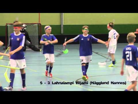 31.1.2016 Nibacos valk - Nibacos sini maalikooste