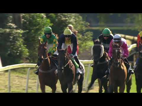 PE, 24. 7. 2020, 2. dostih - Cena společnosti EFEZA s.r.o.