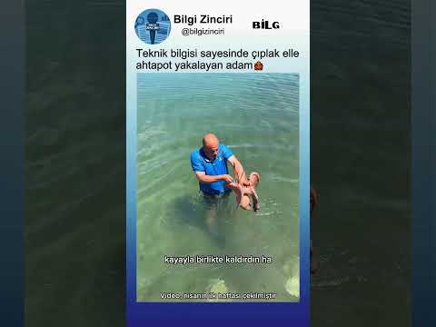 Ahtapot Yakalamanın Tekniğini Bilen Adamın Yöntemi🐙👀