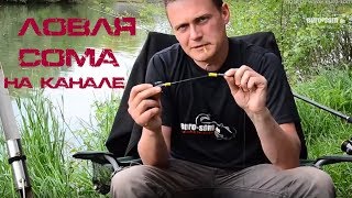 Рыбалка в канале на сома