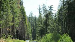 preview picture of video 'Northern California Vacation summer 2012.wmv'