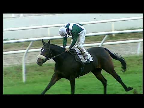 Napoli Galoppo 8/11/2021 - 2ª corsa