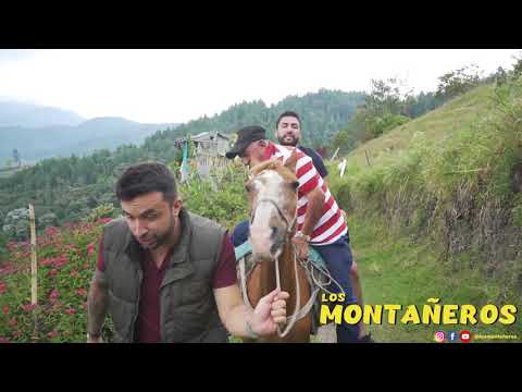 THE FARMERS - THE MOUNTAINEERS