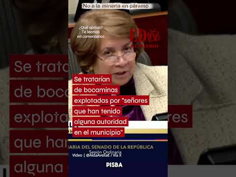 "No a la minería en páramo", en Pisba habrían 150 minas ilegales