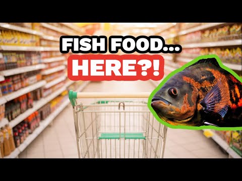 Can You Buy FISH FOOD at the Grocery Store?