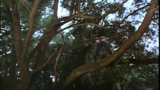 Video trailer för Ace Ventura: When Nature Calls