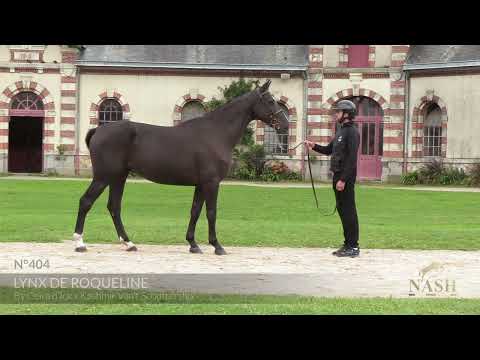 LYNX DE ROQUELINE