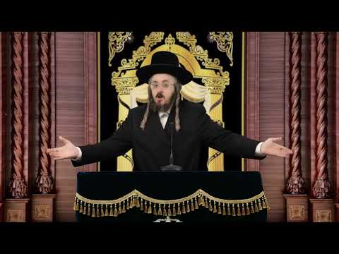 מסר חסידי - פרשת כי תבא תשפ"ב