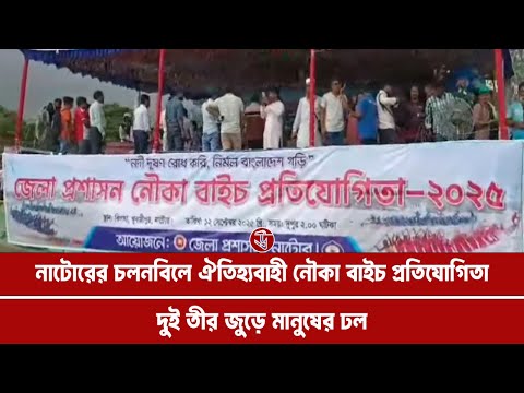 নাটোরের চলনবিলে ঐতিহ্যবাহী নৌকা বাইচ প্রতিযোগিতা, দুই তীর জুড়ে মানুষের ঢল
