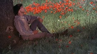 En este precioso día # This lovely day  - Donovan # Subtítulo. Español.