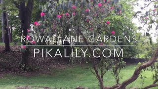 Exploring Rowallane Gardens