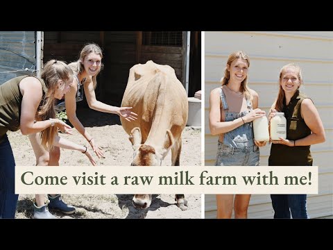 Is Raw Milk Safe? Raw Milk Benefits and Safety | Nourishing Traditions Diet