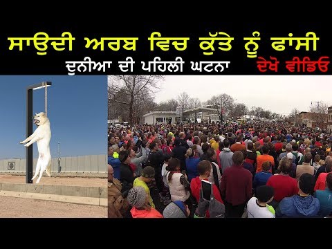 ਦੁਨੀਆ ਦੀ ਪਹਿਲੀ ਘਟਨਾ ਦੇਖੋ ਵੀਡੀਓ | Punjabi Lok