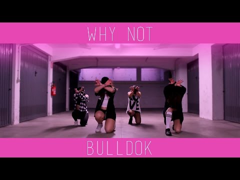 BULLDOK (불독) - WHY NOT (어때요) - Dance Cover | Random Age
