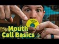 How To Use A TURKEY Mouth Call THE BASICS